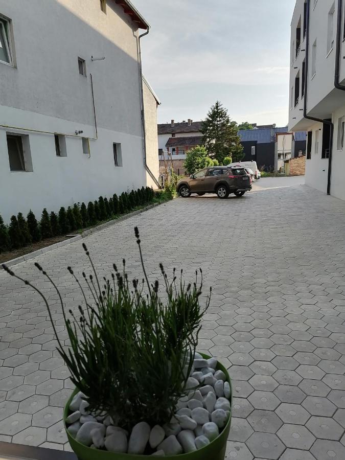 Apartman Stimac Pétervárad Kültér fotó